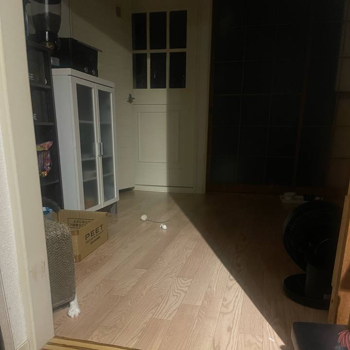 364ff083 56d3 4763 a732 e70373fb0b29 1724242583878