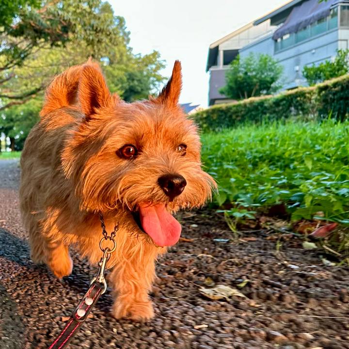 36504f1b 30cf 4aee af27 19de8fe84145 1754386577911