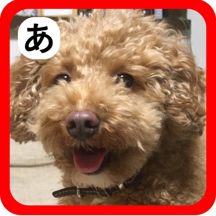 36507454 c62a 45a6 873f fbd2143e8a26 1514890347481