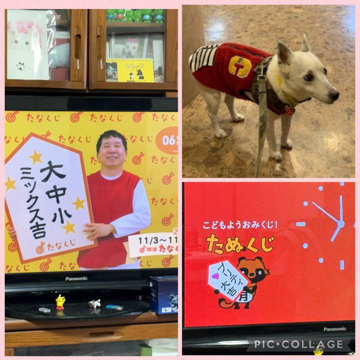 365096eb d283 4eb0 bf52 e04d433b5db3 1762121427941