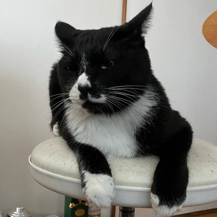 3650973f 0540 4a11 87db 17e29b9ec5e5 1762753407050