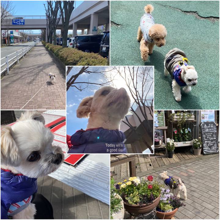 3650b215 126b 41f9 a4fa 96652ccf87ae 1584262765561