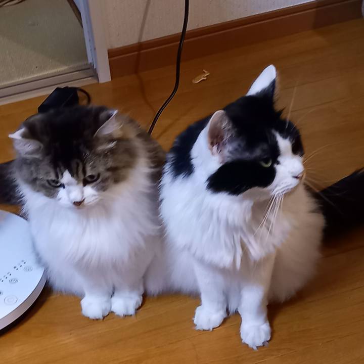 3650c692 c6d3 4b7f af78 e33211af1065 1631875142597