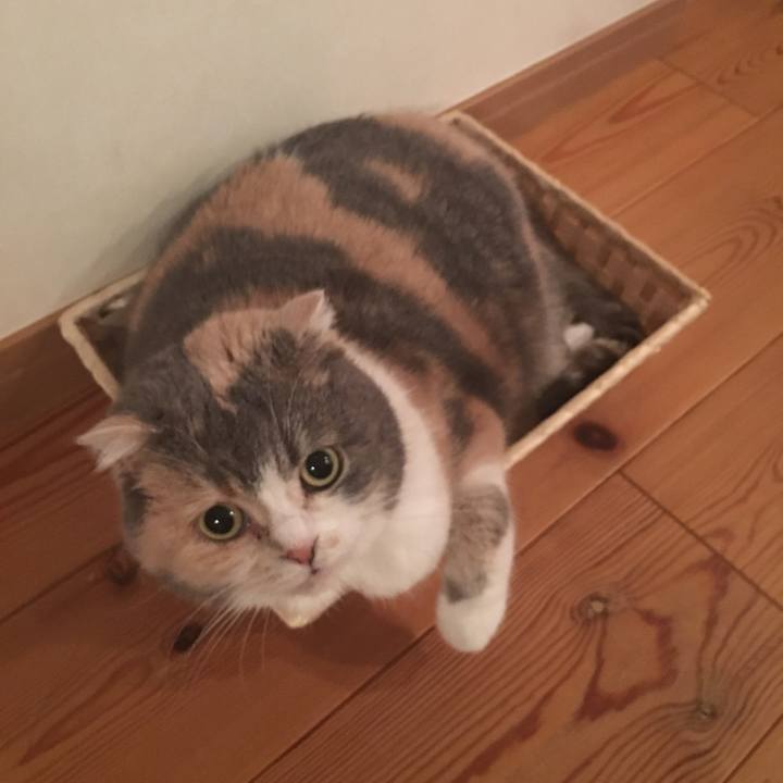 3650c8d3 a0fc 404b 874b c916492cfe5f 1551906878442