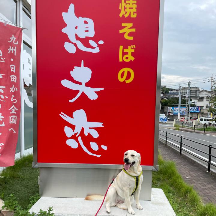 36510f14 d996 4b65 b0a3 6b39624e27f1 1632833356246