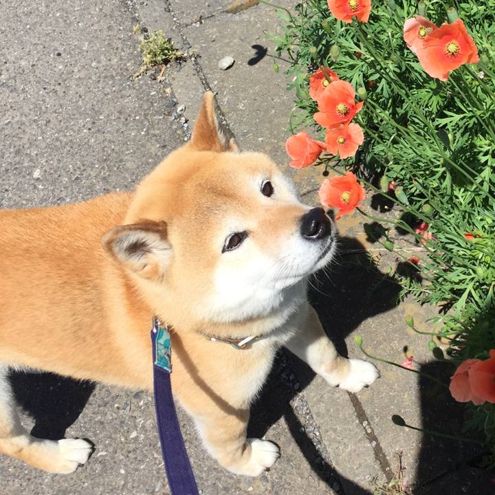 365114c1 bbdd 40d1 949b db74edfc657c 1524710782428