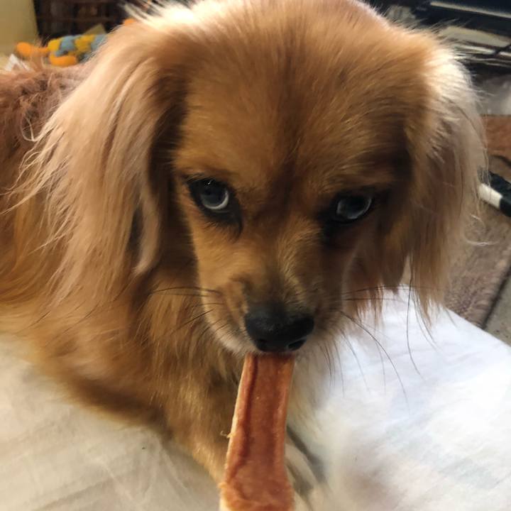 365139ab fd25 4581 b2e4 d5fd3b8d505d 1536011814854