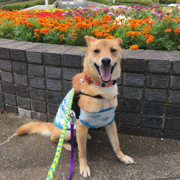 36519d83 def3 47bf 9962 0c2ffb9e66d2 1530093100280