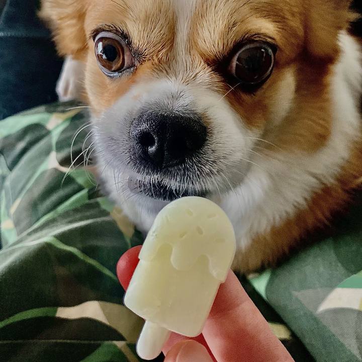 3651c39f 36b3 4952 bca8 dccc52862df5 1724718075891