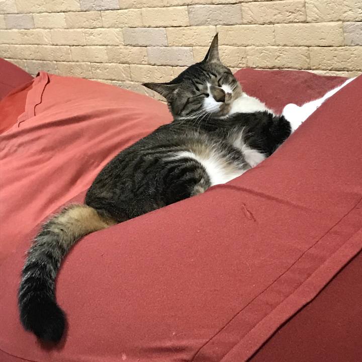 3651f1d4 45a4 4581 bd4b d83d0342b2a6 1516625673149