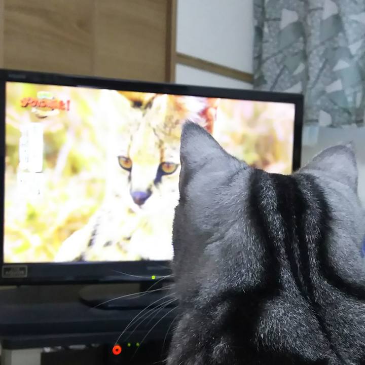 3651f418 8f9a 45ac 9d8e 66f95b01caef 1583062246939