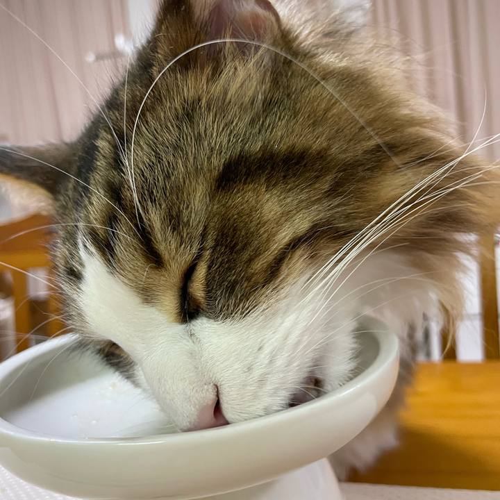 3651f5f4 c7e4 4b63 a715 39df052bfac9 1671871399428