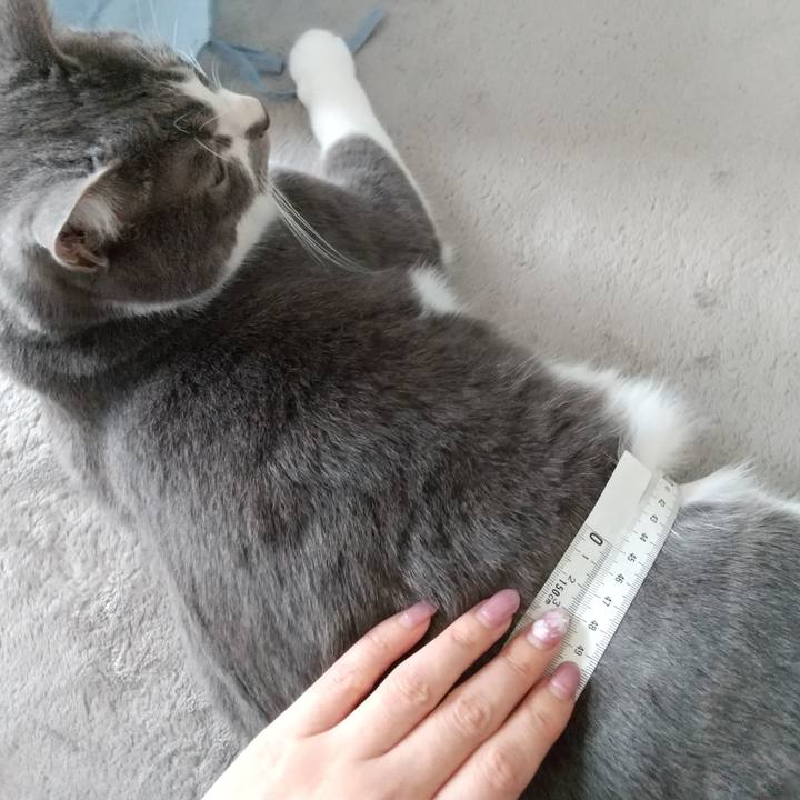 3651ffd0 fecd 43db bf39 ca9f22869729 1649561830227