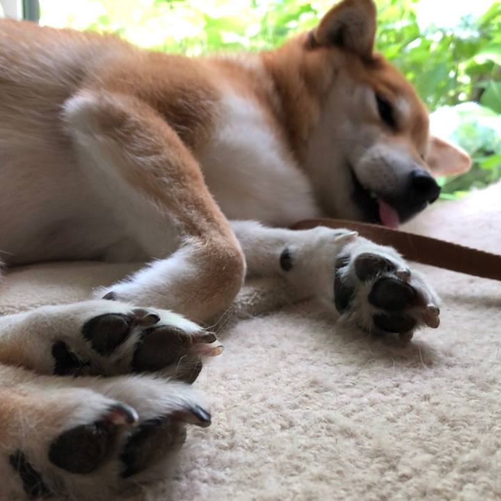 36523a69 13cc 41c8 a87a 5bcf147ab905 1594445019816