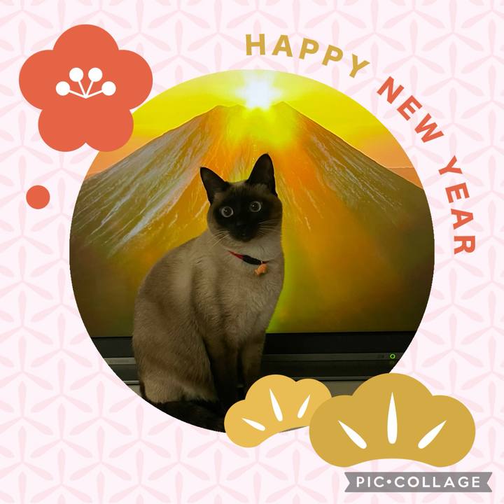 36523ff3 89f2 4a1f 80ce 19d434f26401 1735689357732