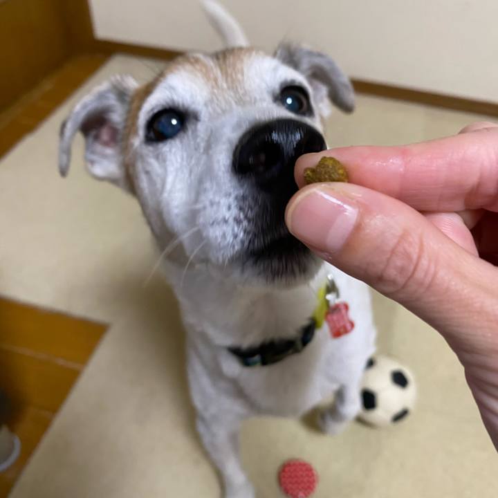 36524ab2 2684 4e1c 9431 c24ec1fbe293 1598694068059