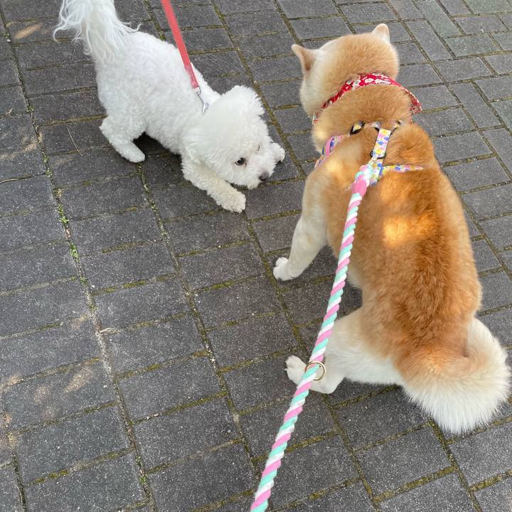 36525cf7 5bda 49ed 9146 d83ab146f6df 1645774836709