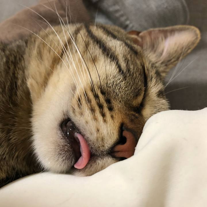 365273ca 0eaf 4295 8900 3adacfb1f3eb 1524186628234