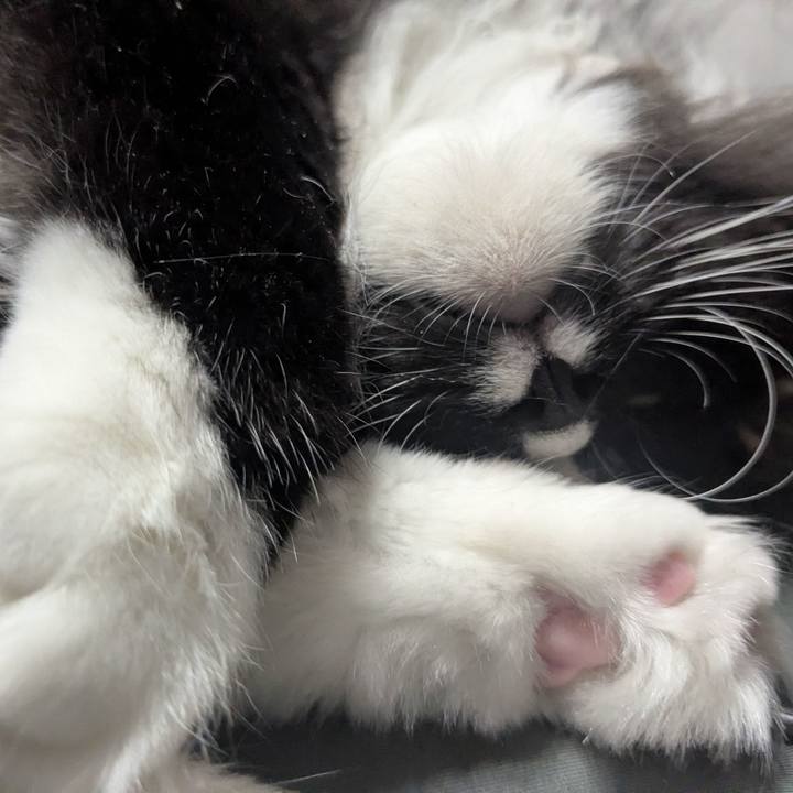 3652a36e f316 4a69 b030 b351e4124b4d 1761888302944