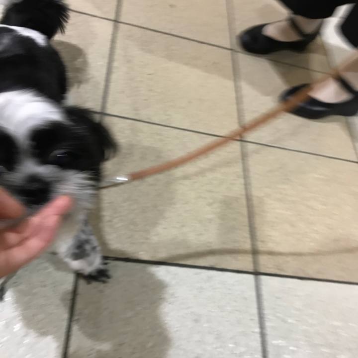 3652e924 8bc3 4ab8 b3ee 4967854d026e 1528799478687