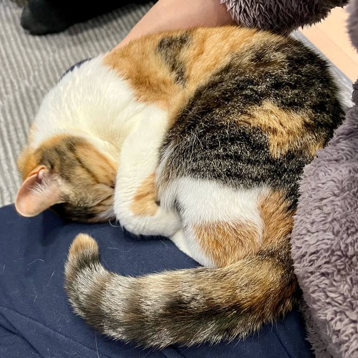 3652fac0 7825 4bce 8ee2 1c3554b18b93 1773028374364