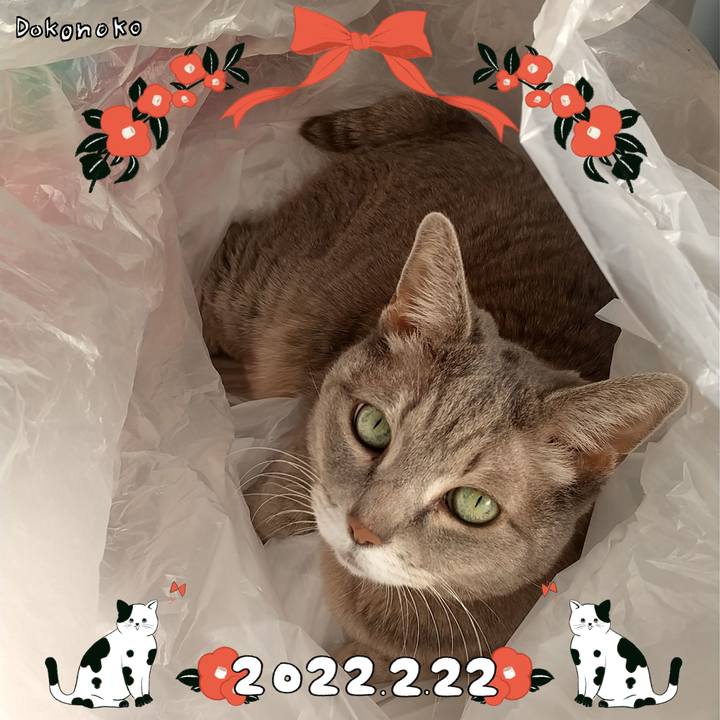 36530a03 66b9 473f 94b1 f6fcd5a5770b 1645536438361