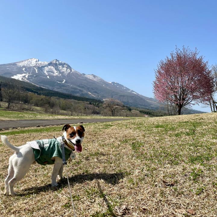 36530e60 a3c0 40be 92eb 2713dc69debd 1651933374065