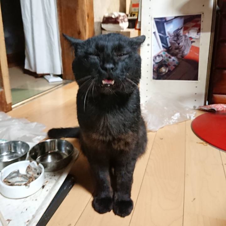 365324db 01c6 432e ba84 ce460ad976a0 1626527006097