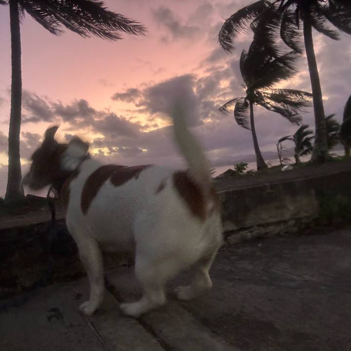 365335df 107b 443f a608 d6df35854931 1753860588834