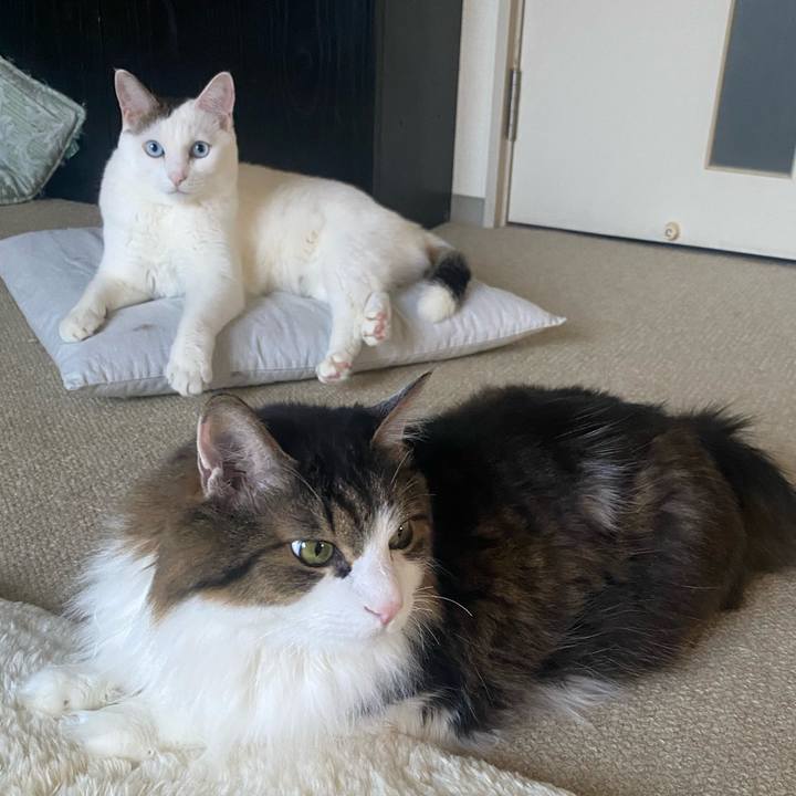 3653c531 1b2c 4ffe a452 54f006931a26 1662933397886