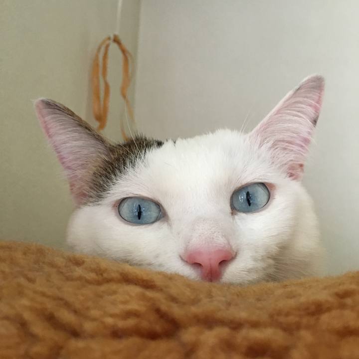 3653c65c b82d 401f 8125 9188ea41a4ad 1630928859620