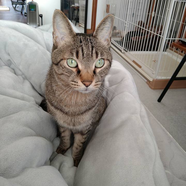 3653d666 a75a 4f02 9f08 a4ea374f15bb 1709971581941