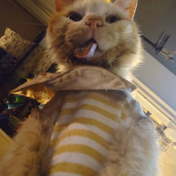 3653dab4 e73c 47a3 b363 481ebc4521ee 1759748958584