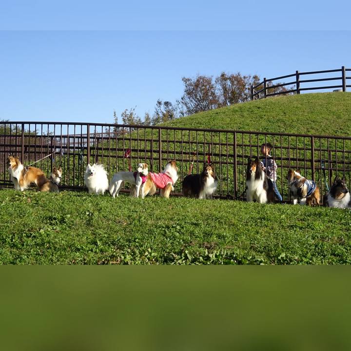 365467d3 895b 4f34 b0f2 ade418ae5cef 1574003653128