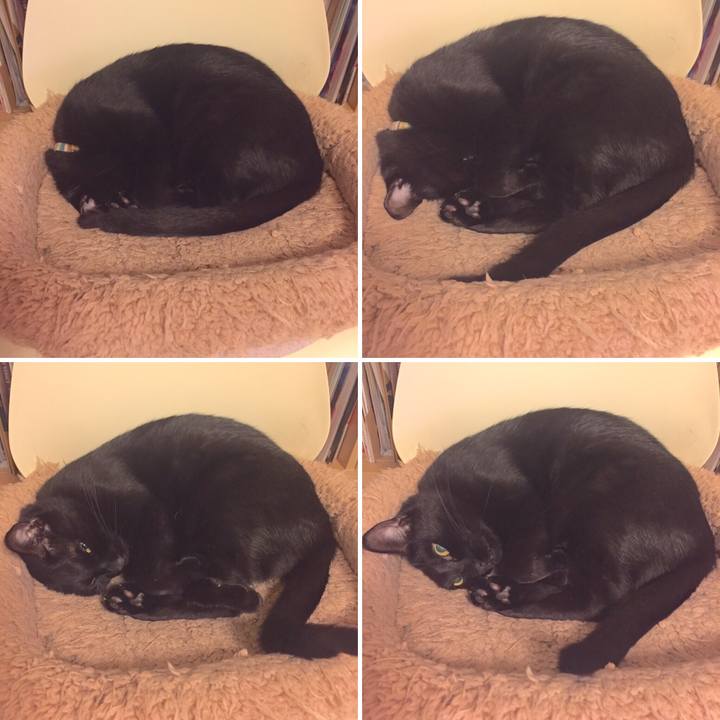 3654cca9 4ccf 4daf b29c 51f8773eab24 1510455025501