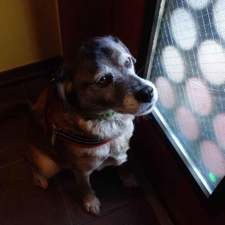 3654efeb 1f38 4bae a4b5 eca864ae3a11 1655944698560