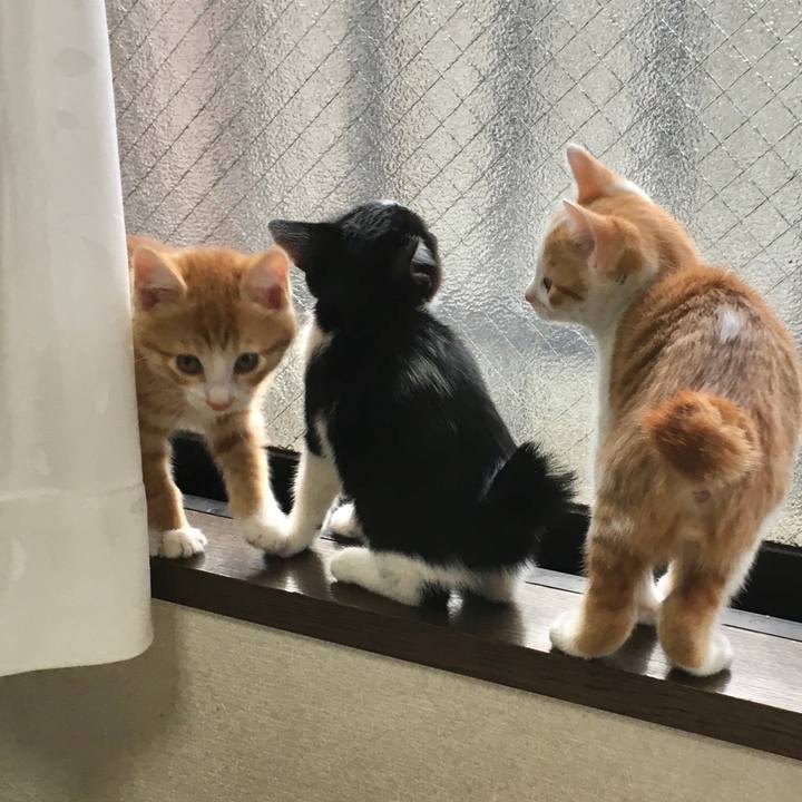 3654ffc2 b914 4aa1 9867 c97dd4d076d6 1626694778210