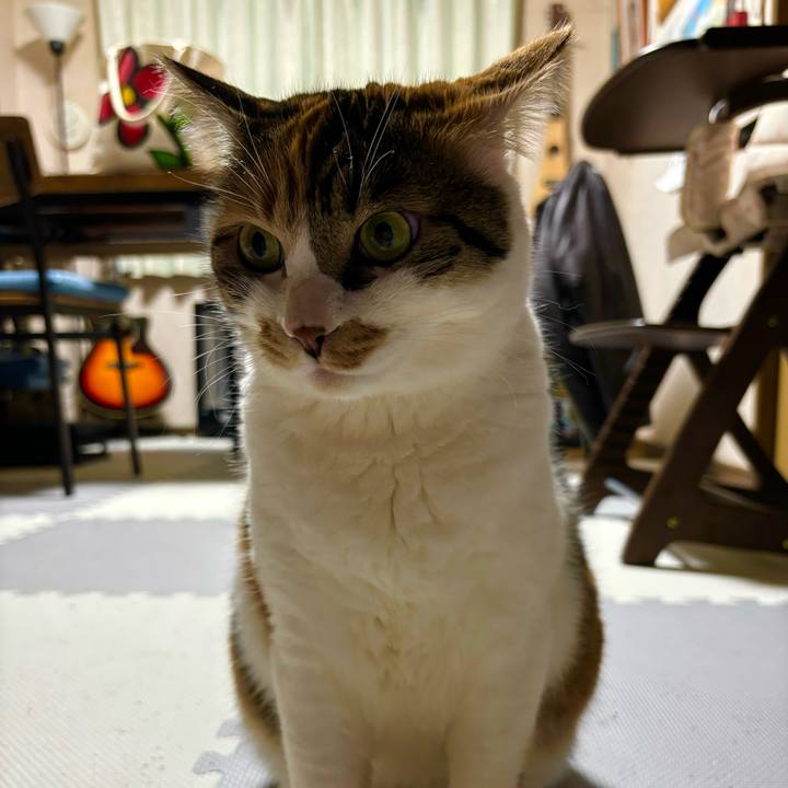 36556873 29e1 481b 8e70 ae66709ff099 1704114320892