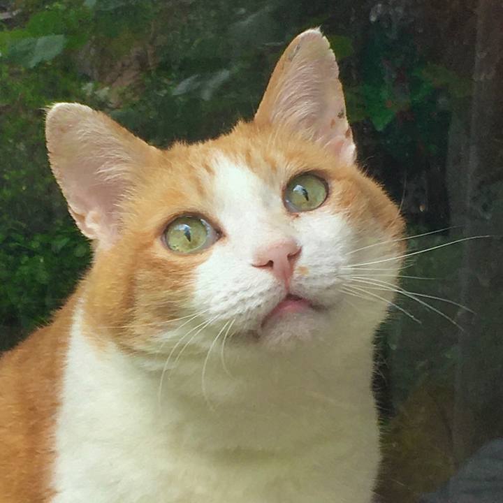 3655788d 4d15 458a ac95 eb0bbbc3070f 1622181091533