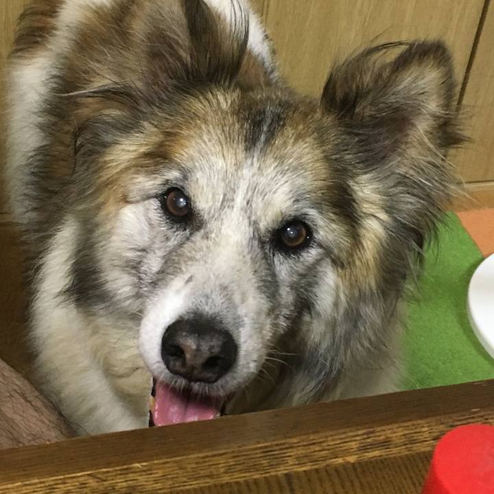 36557c6c 2cf9 4ad7 9fb0 2f1cb29b29af 1507815342812