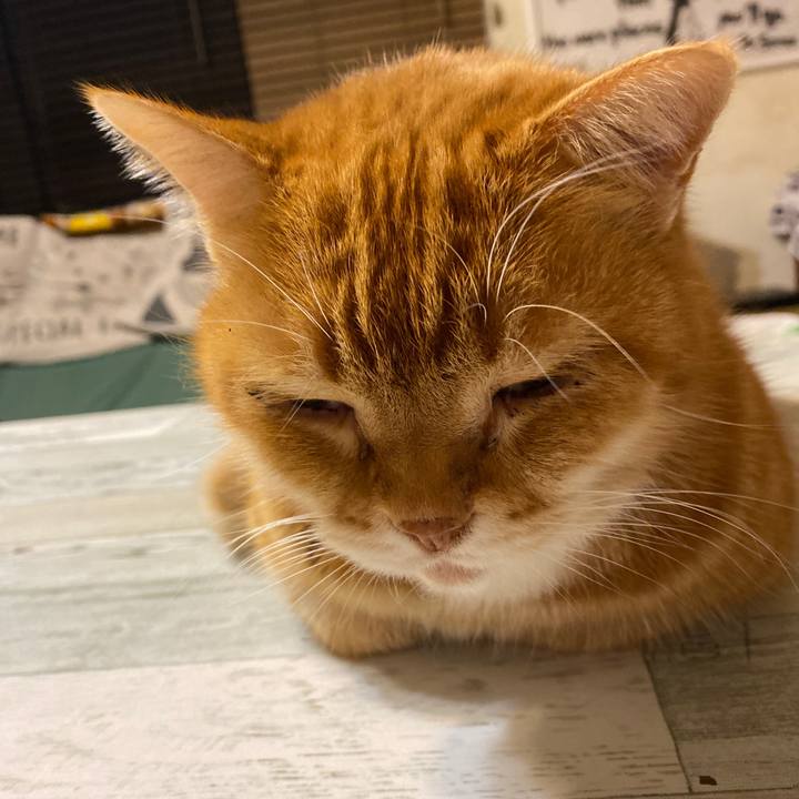 365596a3 ba22 480e a4c4 f7c387c7f881 1612297212563