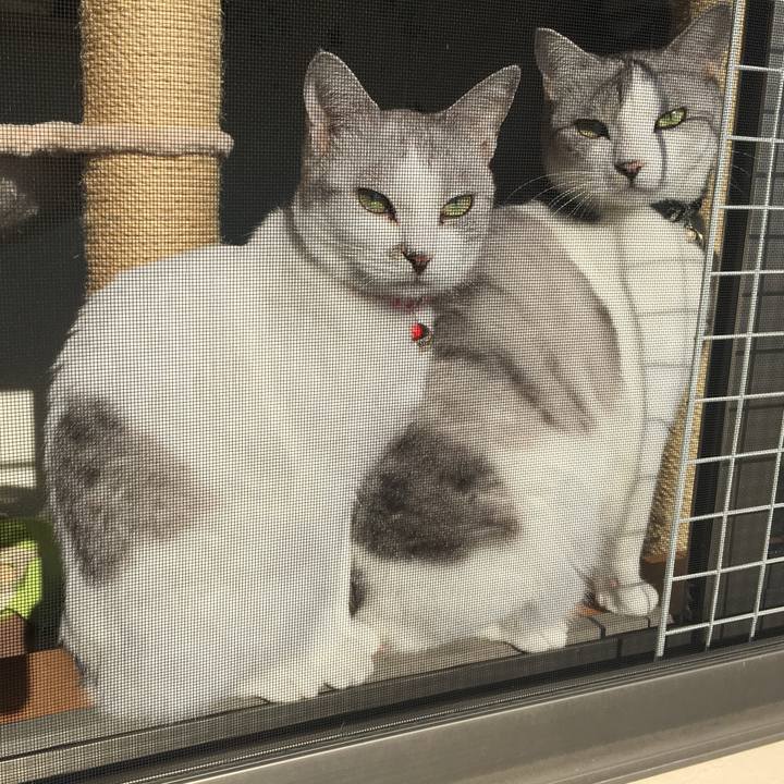 3655a52b 4c05 4b4a 91a6 2edb621a7713 1513820071633