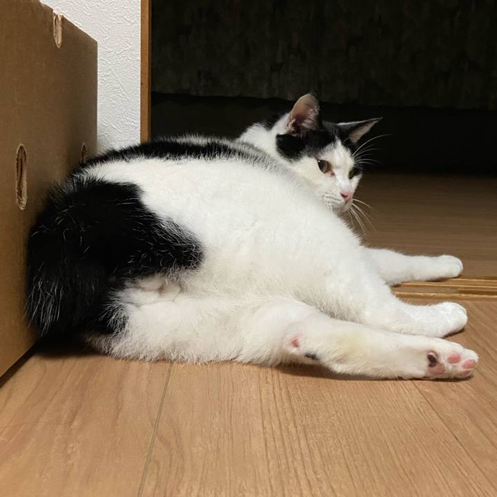 3655a8c1 4ed3 4d16 8055 3ee8688710f9 1604237748405