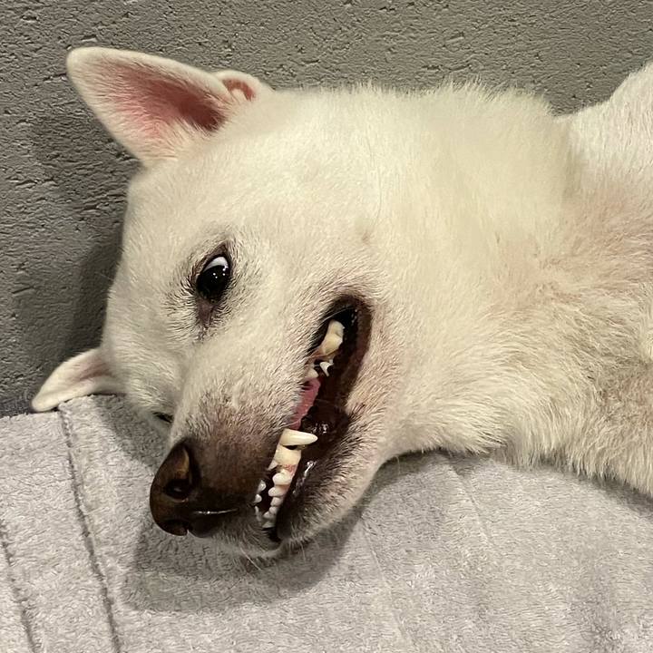 3655ba47 08fb 4406 a3c4 ce0308db32cf 1631706369904