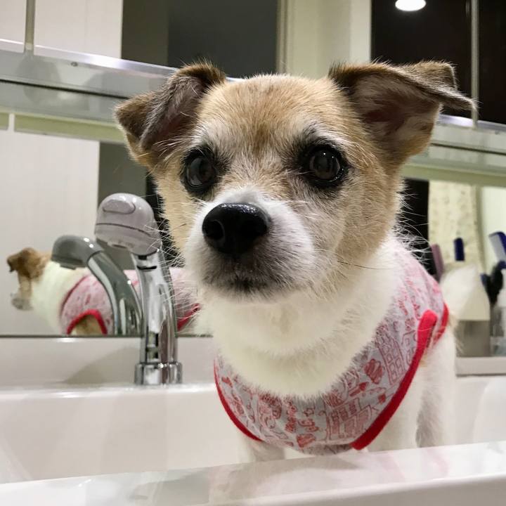 36561355 d415 48a9 8734 9edd0d91ebd4 1658788227951