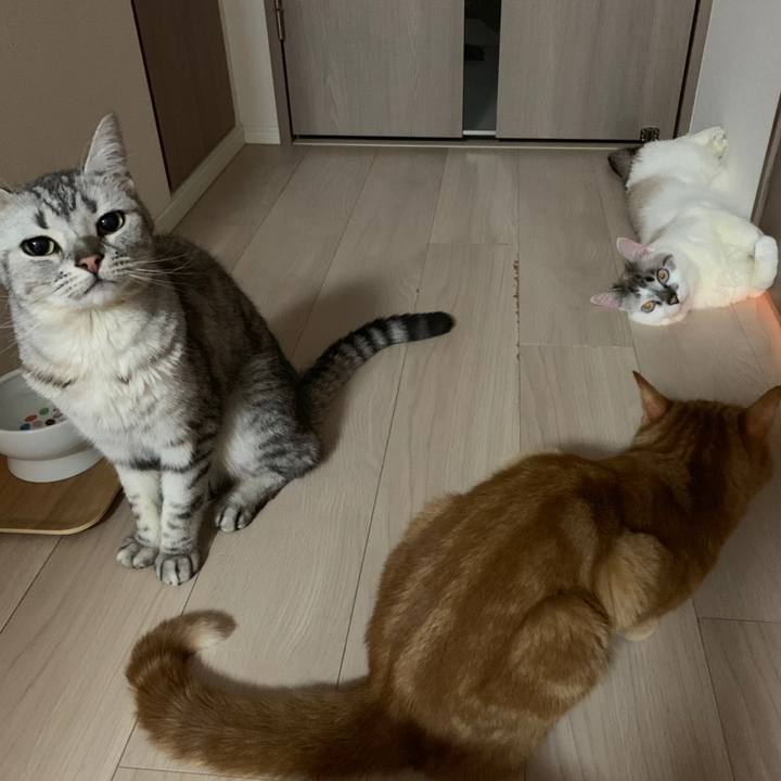 3656430d 4873 4f9d 8c50 d337d18e2e59 1558532161532