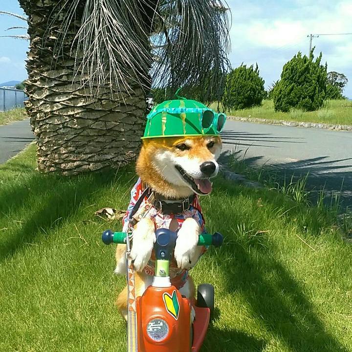 36564593 1eee 4b72 8b8e 8a2bc556a66d 1564916386591