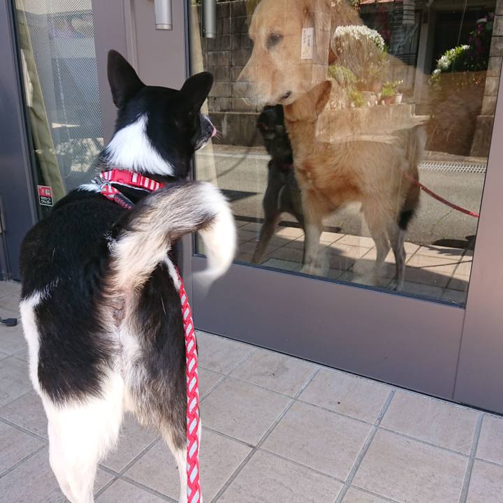 36564c48 7f4f 4db0 b796 2dc325f3593c 1620296892409