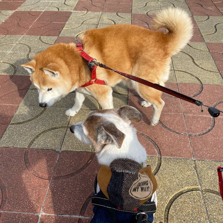 36567814 eec1 4d46 9a6a 6636a8a6687d 1607842749111