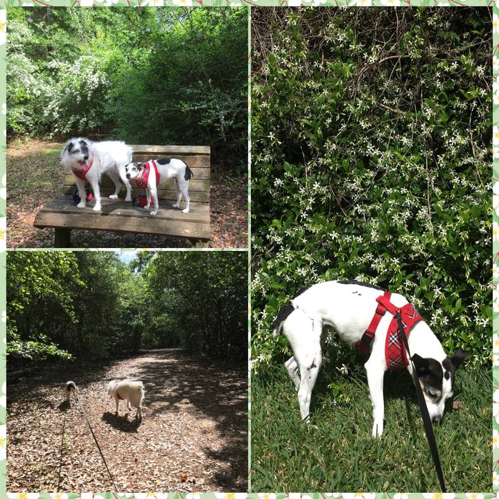 36568d7e 3870 48d2 b36a 3b02e1404bdb 1523657193154